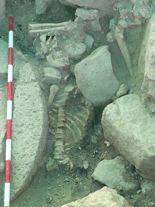squelette d'un Templier sur le site archéologique du chastelet du gué de Jacob; source:http://www.templedeparis.fr/2013/10/06/chastelet-du-gué-de-jacob/